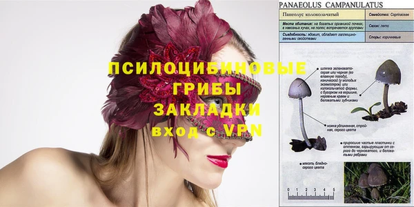 прущие крисы Абаза
