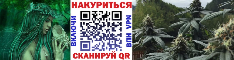 Каннабис OG Kush  Адыгейск 